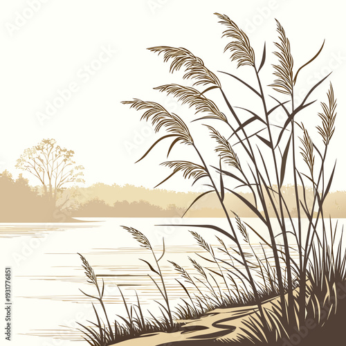 Golden light on icy plants at lakeside transition water