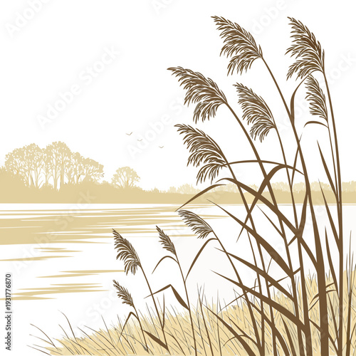 Golden light touching icy plants at lakeside reeds