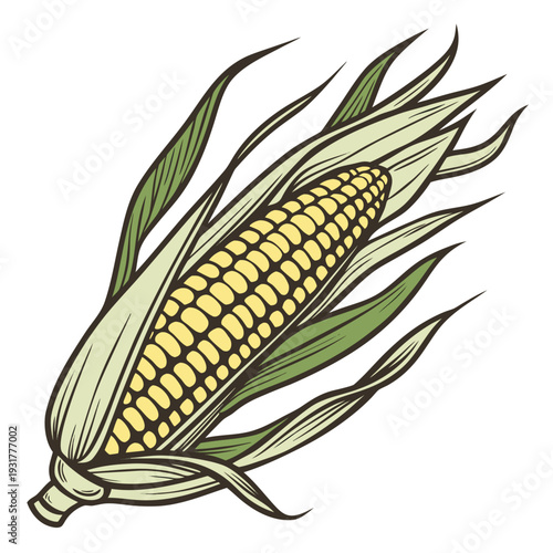 Yellow corn on the cob with green leaf husk maize ear of corn
