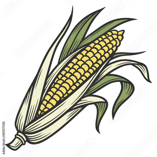 Yellow corn on the cob with green leaves maize ear of corn