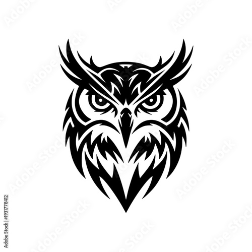 Majestic owl head in bold black and white tribal design