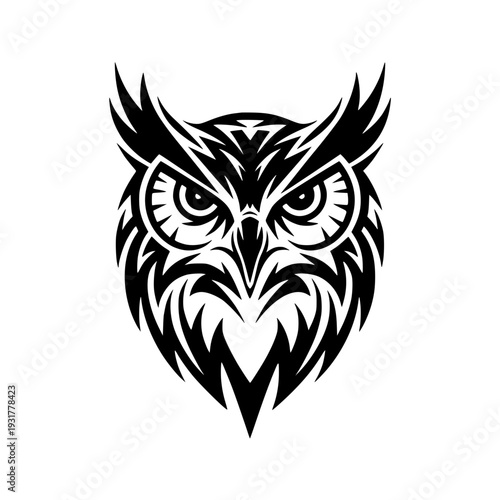 Stunning black owl head with sharp feathers and intense gaze