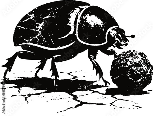 Dung beetle rolling ball on cracked ground, insect behavior and nature survival concept
