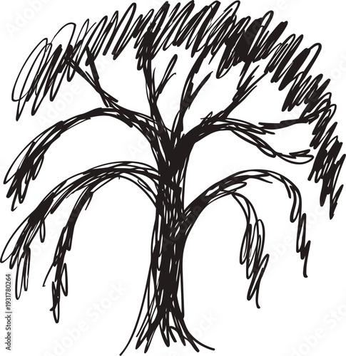 hand drawn black ink willow tree sketch with drooping branches and sparse leaves
