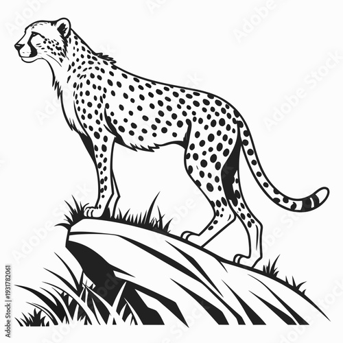 Black and white cheetah standing on rock with grass