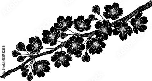 Black cherry blossom branch silhouette with flowers and buds for spring nature design Japanese sakura floral art and botanical vector elements