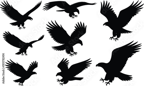 Eagle silhouettes collection, detailed flying and hunting poses, isolated black bird of prey vector illustration set