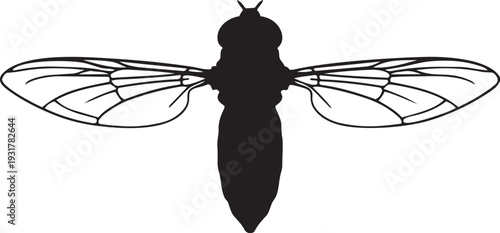 Fotografia Hoverfly in Flight Silhouette Minimalist Slim Fly with Clear Horizontal Wing-Spa