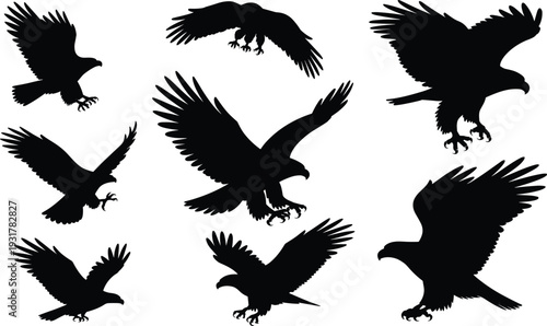 Majestic eagle silhouettes set, flying and landing poses, isolated black bird of prey wildlife illustration collection