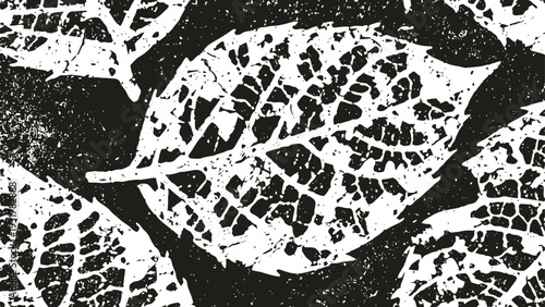 Black and white leaf imprint with detailed veins and textured surface close up pattern