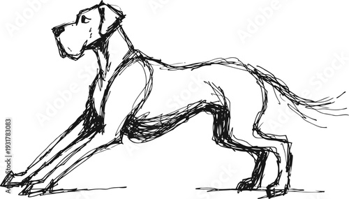 Sketch of a dog stretching with front paws extended and tail raised in a playful pose