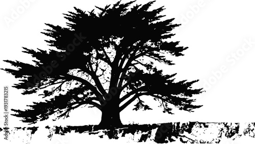 Large oak tree silhouette with sprawling branches and leaves on white background