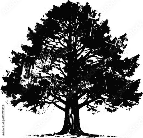 large oak tree silhouette with detailed branches and dense foliage in black and white