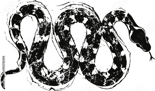 Black and white patterned snake with forked tongue in a curving pose isolated on white