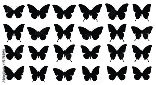 Set of 24 Black Butterfly Silhouettes Vector