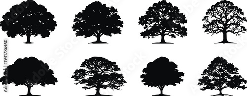 Black tree silhouettes collection, diverse oak and maple species vector set, isolated nature elements for landscape design, forest vegetation icons.