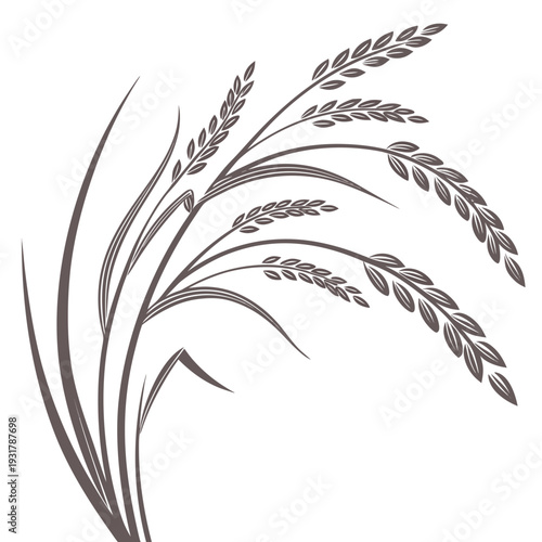 Brown rice grains grouped with subtle shadow base clean