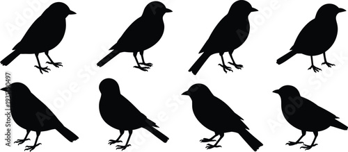 Black bird silhouettes set isolated on white background, standing songbird collection for logo design, vector illustration