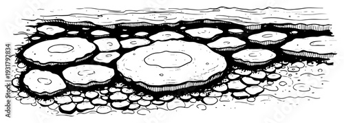 Hand drawn engraving of round flat stones and tide pools in a river bed