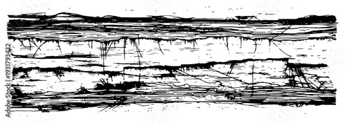 Vintage engraving style illustration of layered geological strata or wood bark texture