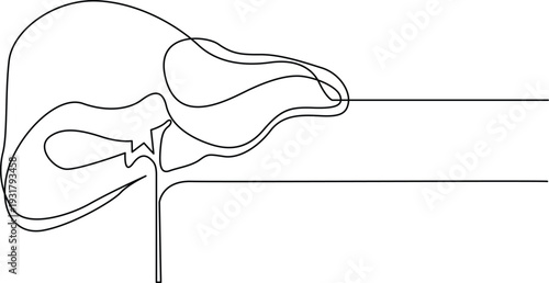 A detailed anatomical illustration of the human liver and its lobes Vector