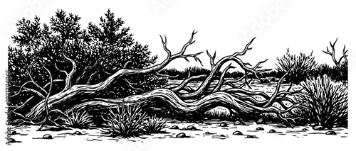 Detailed hand drawn landscape featuring twisted old trees and wild shrubs in vintage engraving style