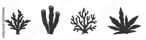 Silhouette of Various Seaweed and Algae Plants.