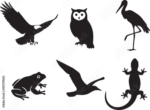 Diverse wildlife silhouettes collection featuring majestic eagle wise owl elegant crane leaping frog flying seagull and lizard