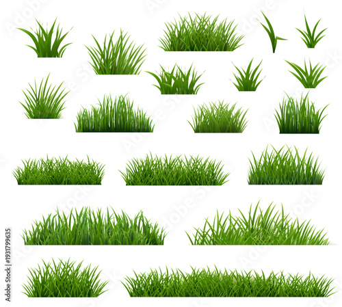 Grass Borders Set Isolated White Background