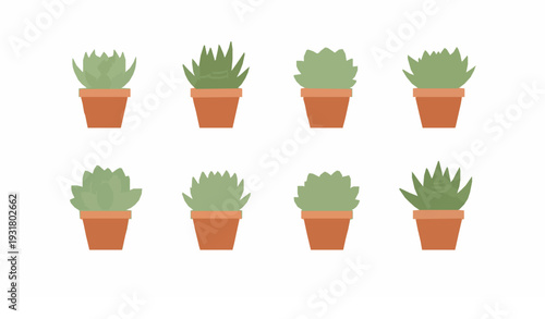 Minimal Succulent Indoor Garden Collection Terracotta Pot Vector Illustration