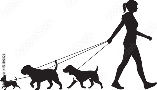 Woman walking various size dogs on leashes, showing silhouette of owner and pets on a transparent background
