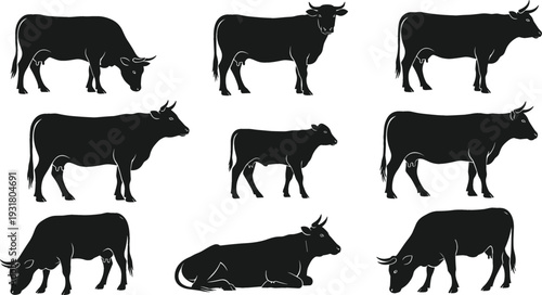 Black cow silhouette illustration collection with multiple poses, flat vector set representing farm animals, livestock, agriculture, ranch life, and rural countryside design