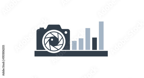 Graphic representation of camera statistics.