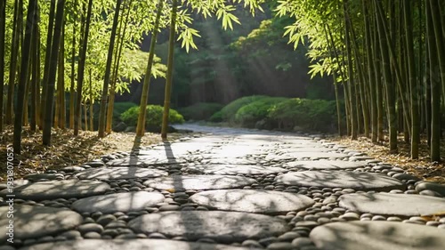 Tranquil Bamboo Forest Path with Stepping Stones and Sunlight