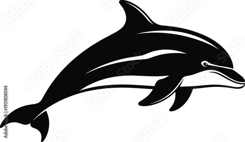 Black and white of a dolphin swimming marine animal
