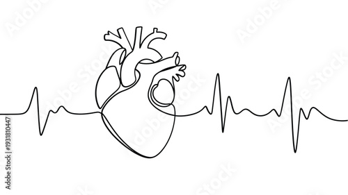 A continuous line drawing of a human heart with an electrocardiogram
