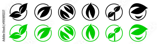 Eco logo with a leaf. Green and black.