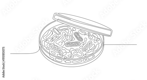 Microscopic Bacteria Culture in Petri Dish, Scientific Illustration