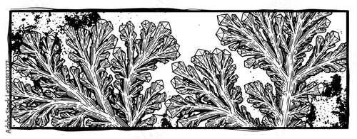 Horizontal decorative line with footprints and dashed path design