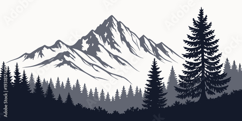 Snow covered mountain peaks tower over a dense forest of pine trees.