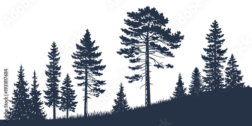 Silhouette of tall trees on a hillside during sunset.