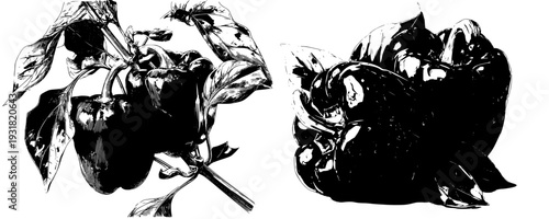 Elegant Bells: A Study in Red