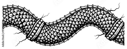 Mythical dragon scales forming a wavy band in detailed hand drawn vintage engraving style