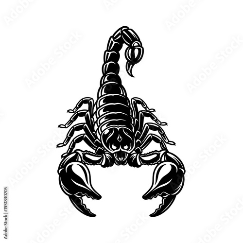 A black scorpion icon on a transparent background silhouette - Stock Aura