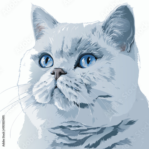 cute british shorthair blue cat icon with round face plush fur isolated on white background
