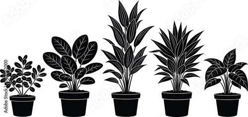 Black silhouette collection of indoor house plants in pots, isolated botanical vector illustrations for home decor and minimalist interior design.