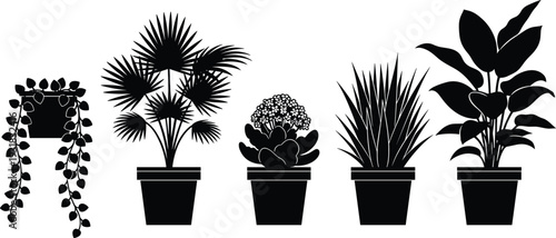 Black silhouette of two different indoor house plants in pots, isolated botanical vector illustrations for home decor and minimalist interior design.