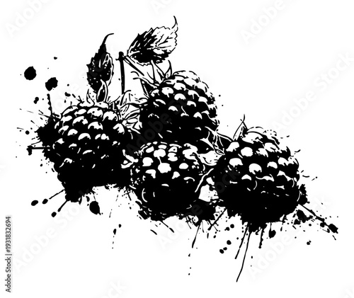 Fresh blackberries on a branch in artistic grunge ink splatter style