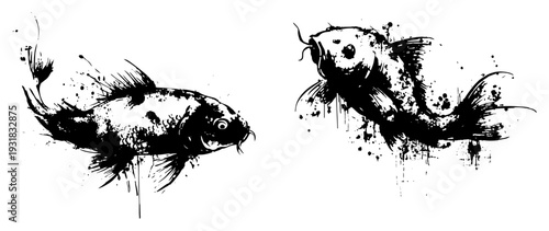 Pair of swimming koi fish in artistic grunge ink splatter style
