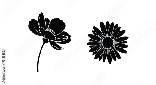 Black and white illustration depicting a poppy and a daisy flower
